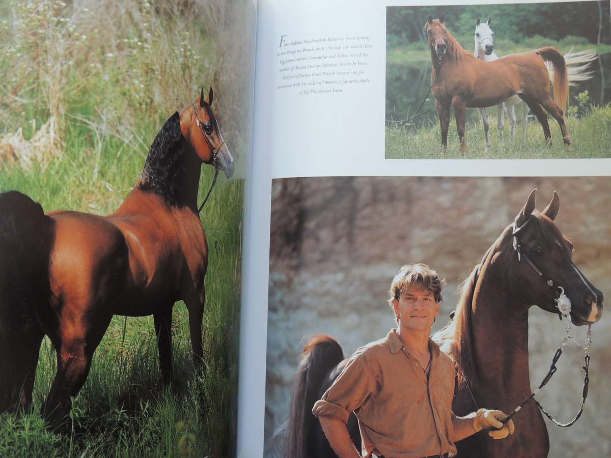 The Arabian Horse: History, Mystery And Magic - ed Hossein Amirsadeghi