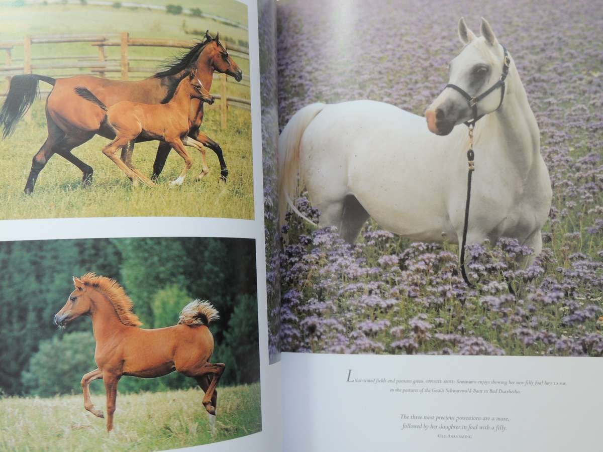 The Arabian Horse: History, Mystery And Magic - ed Hossein Amirsadeghi