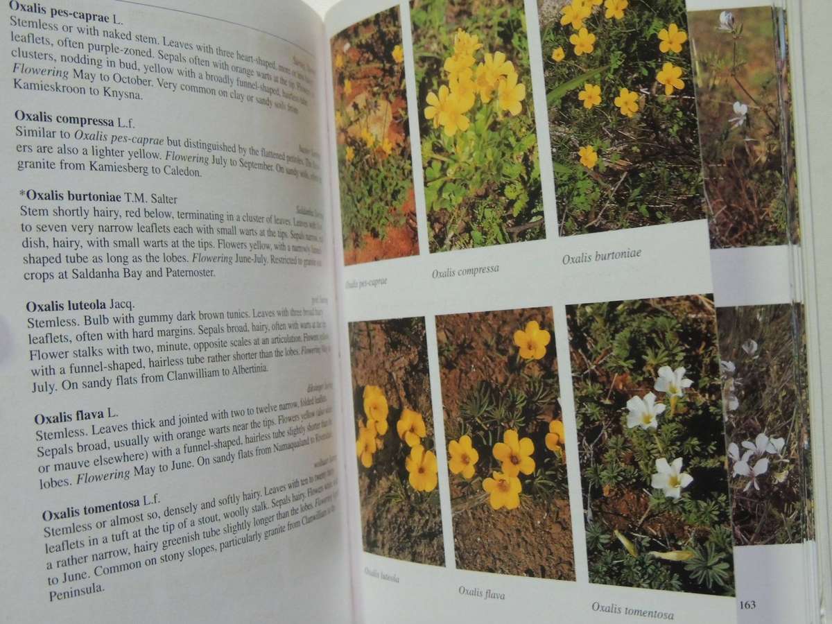 South African Wild Flower Guide 7: West Coast- John Manning & Peter Goldblatt