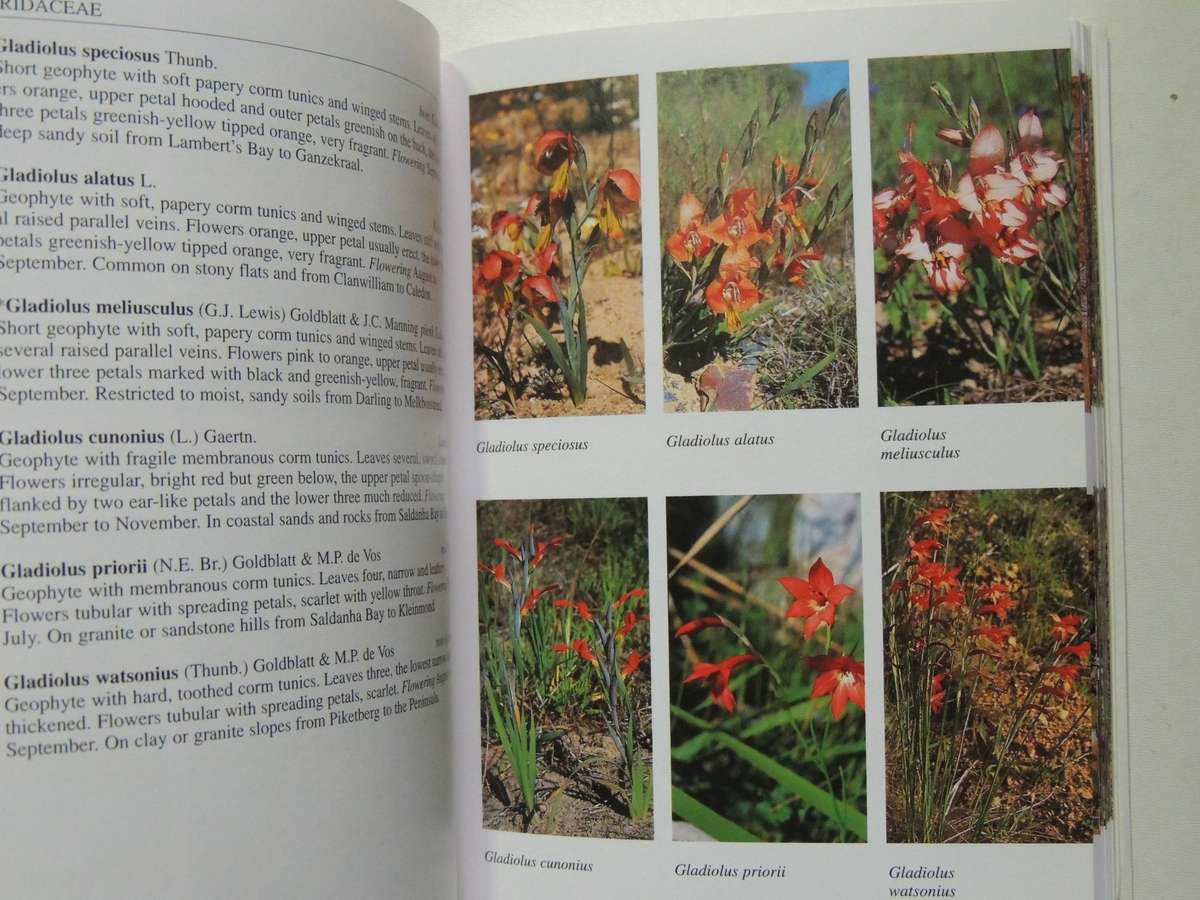 South African Wild Flower Guide 7: West Coast- John Manning & Peter Goldblatt