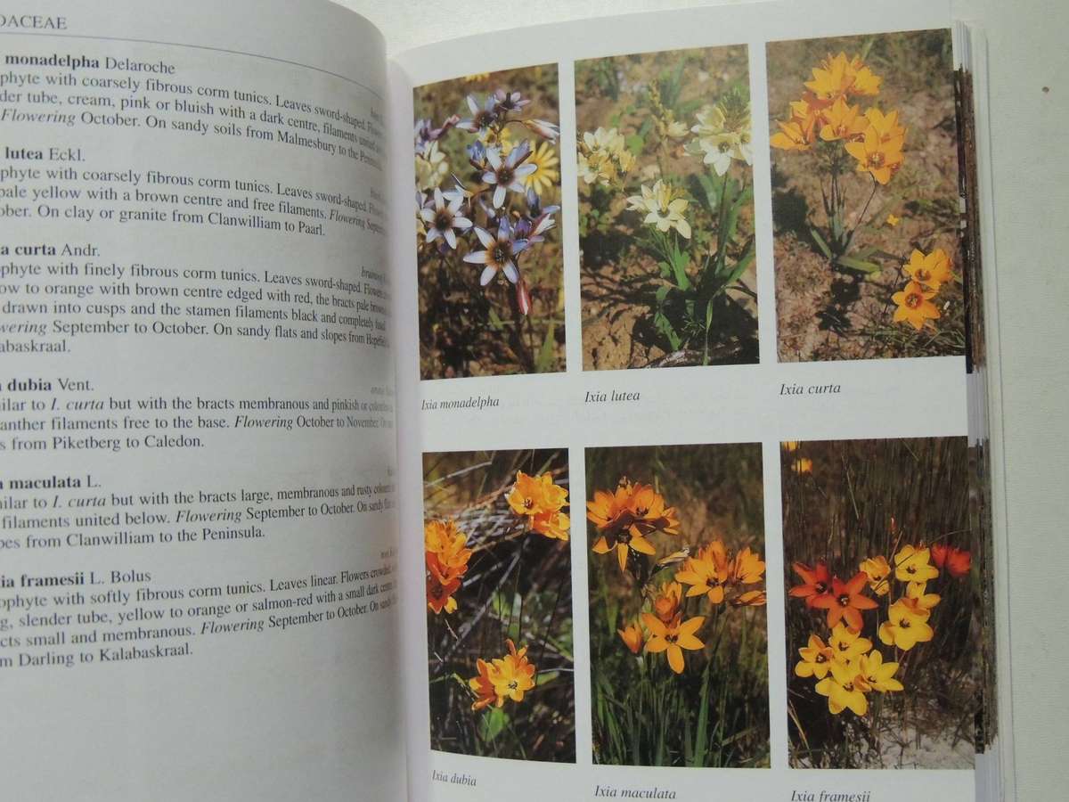 South African Wild Flower Guide 7: West Coast- John Manning & Peter Goldblatt