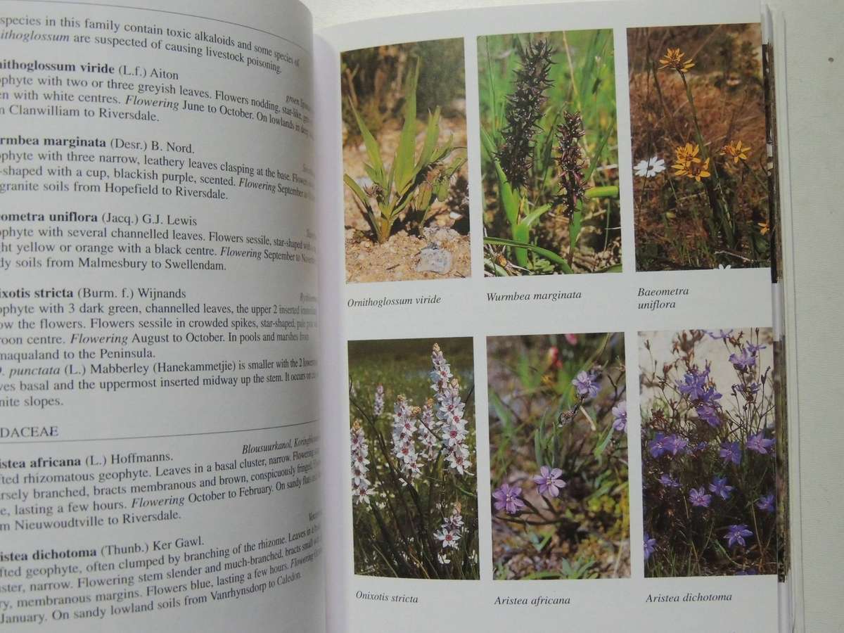 South African Wild Flower Guide 7: West Coast- John Manning & Peter Goldblatt