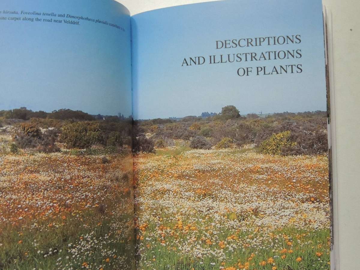 South African Wild Flower Guide 7: West Coast- John Manning & Peter Goldblatt