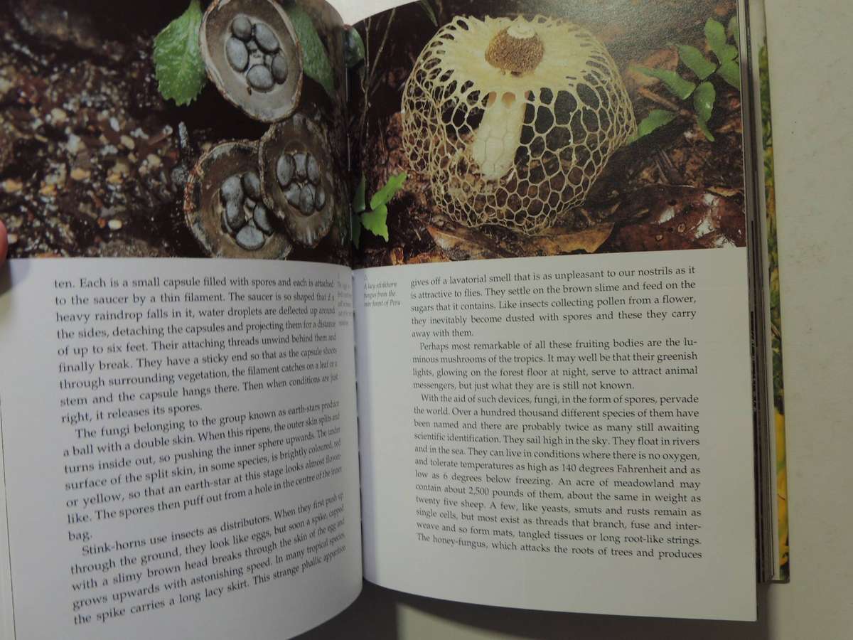 The Private Life Of PlantsDavid Attenborough