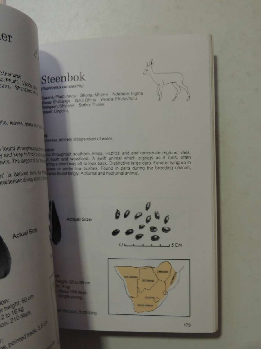 Signs Of The Wild- Clive Walker