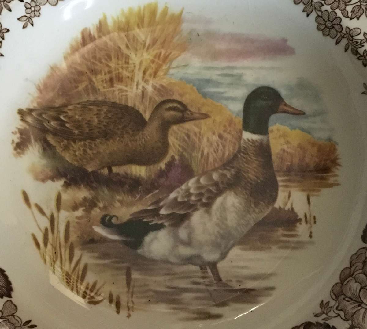 Royal Worcester Pallisy game series:  Mallard and Quail plates pair