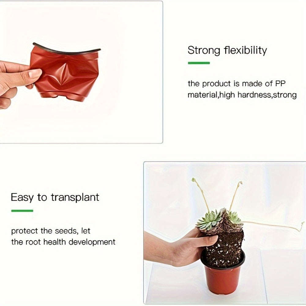 10-Pack Seedling Pots