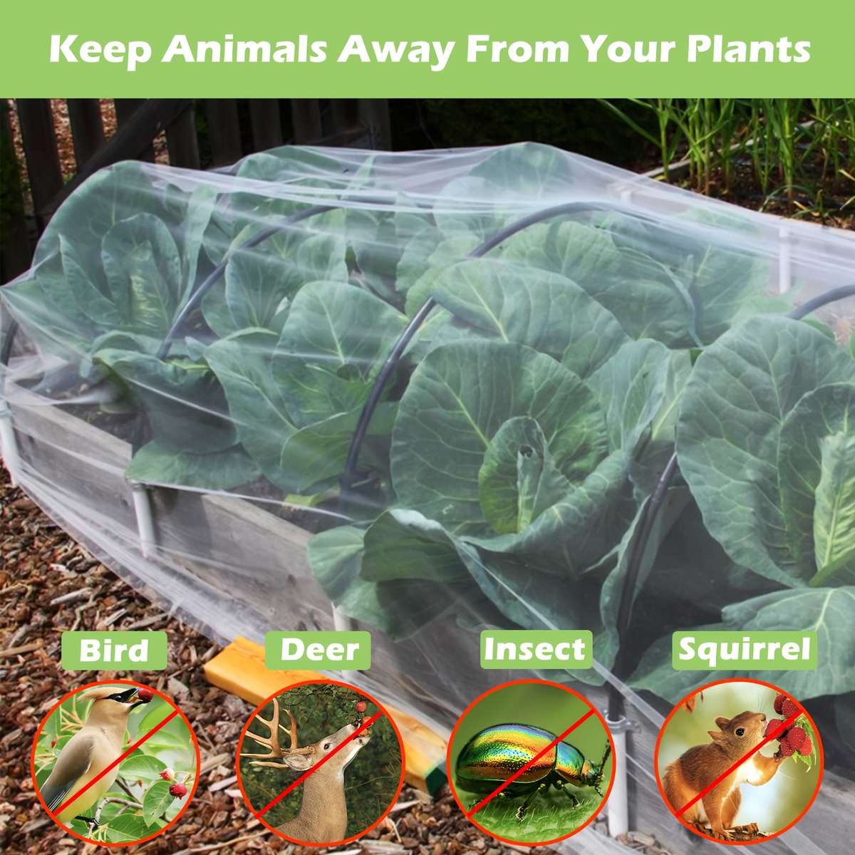 Garden Netting Insect Netting - Pe Material (1 Pack)