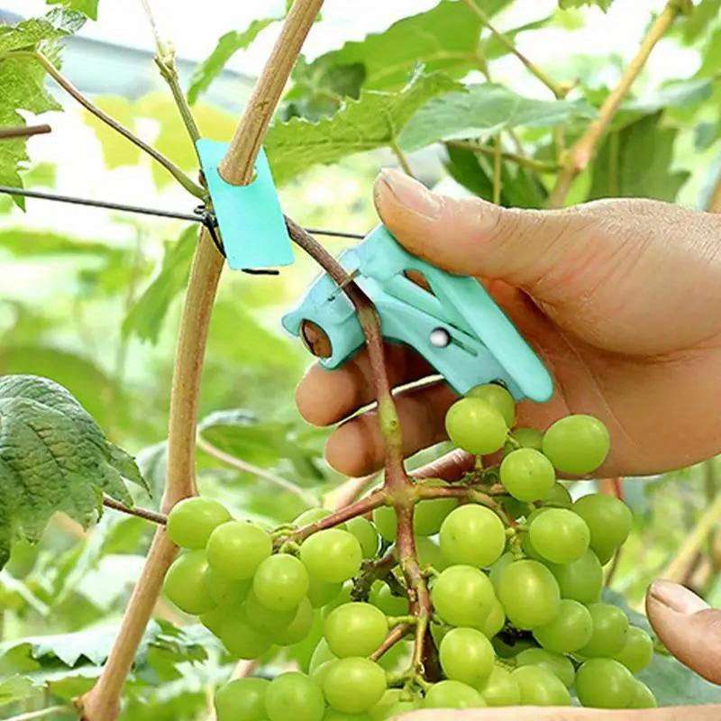 Multifunctional Mini Garden Pruner