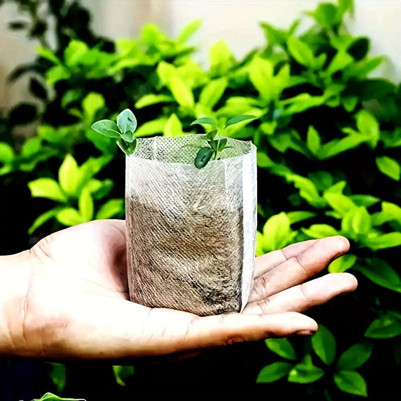 100 Biodegradable Seedling Bags