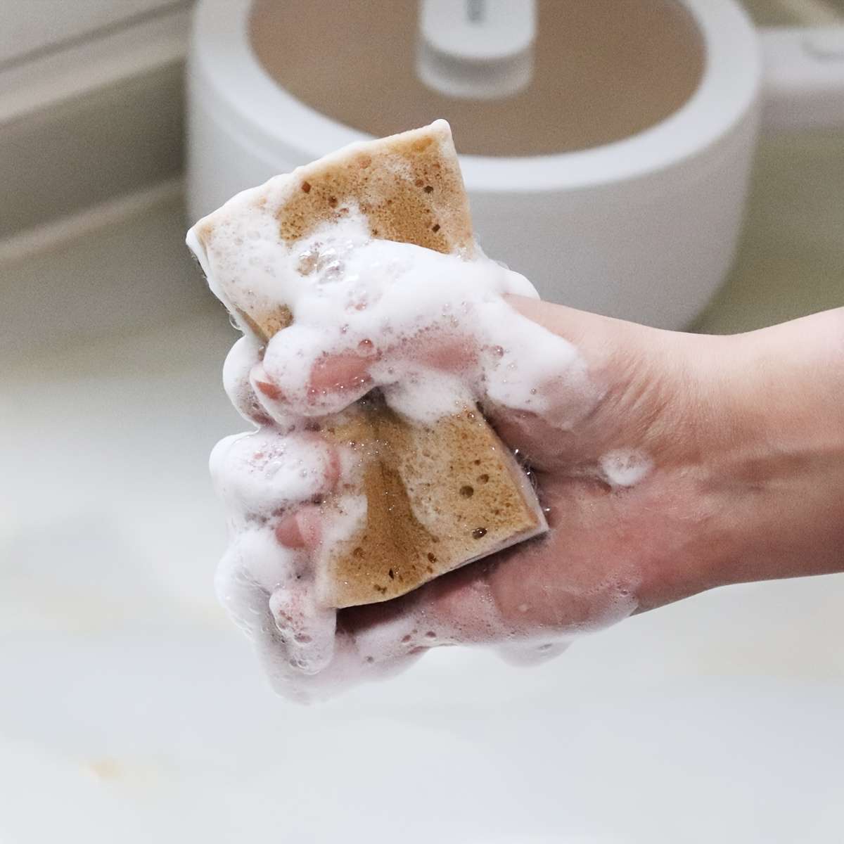 5pcs Multi-Layered Algae Cleaning Sponges