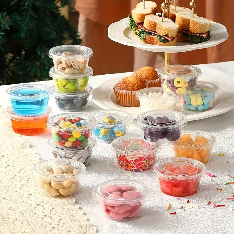 Portable Plastic Containers with Lids