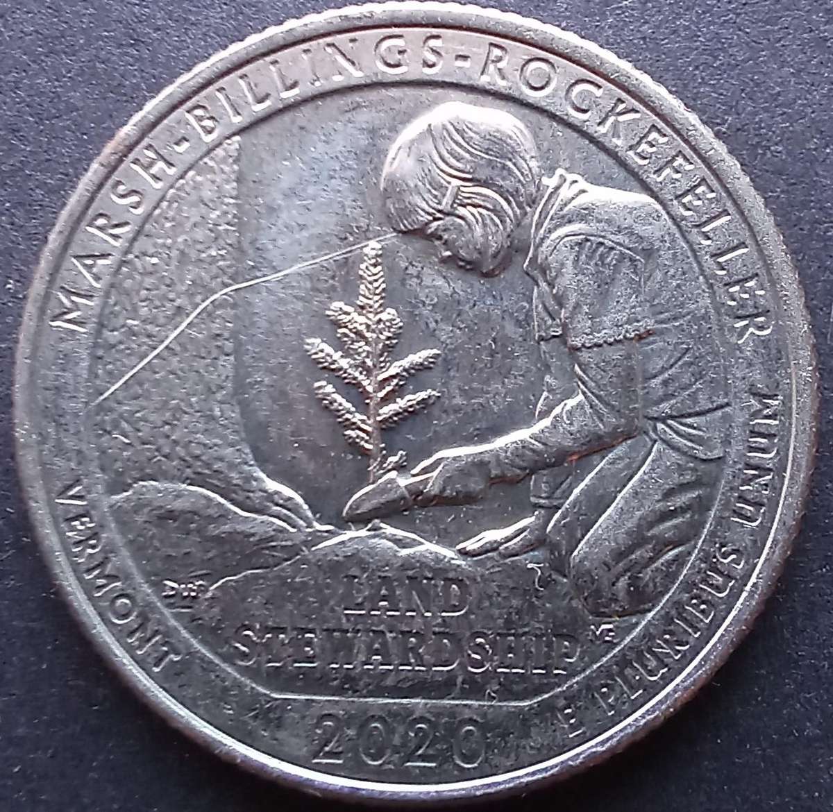 USA Quarter Dollar 2020