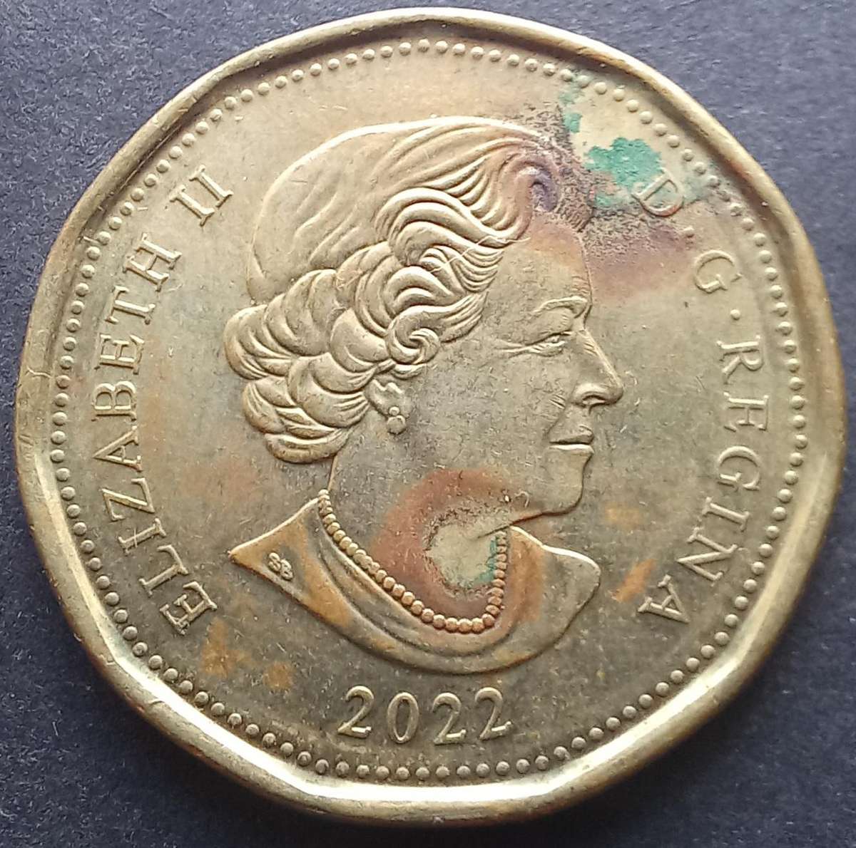 Canada 2022 1 Dollar