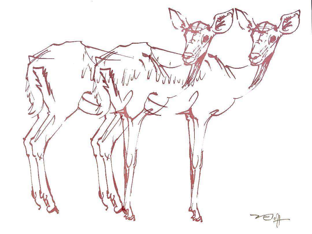 ZAKKIE ELOFF. Dubbel koedoe ooi. A3. Hand printed silkscreen. Signed in pencil.