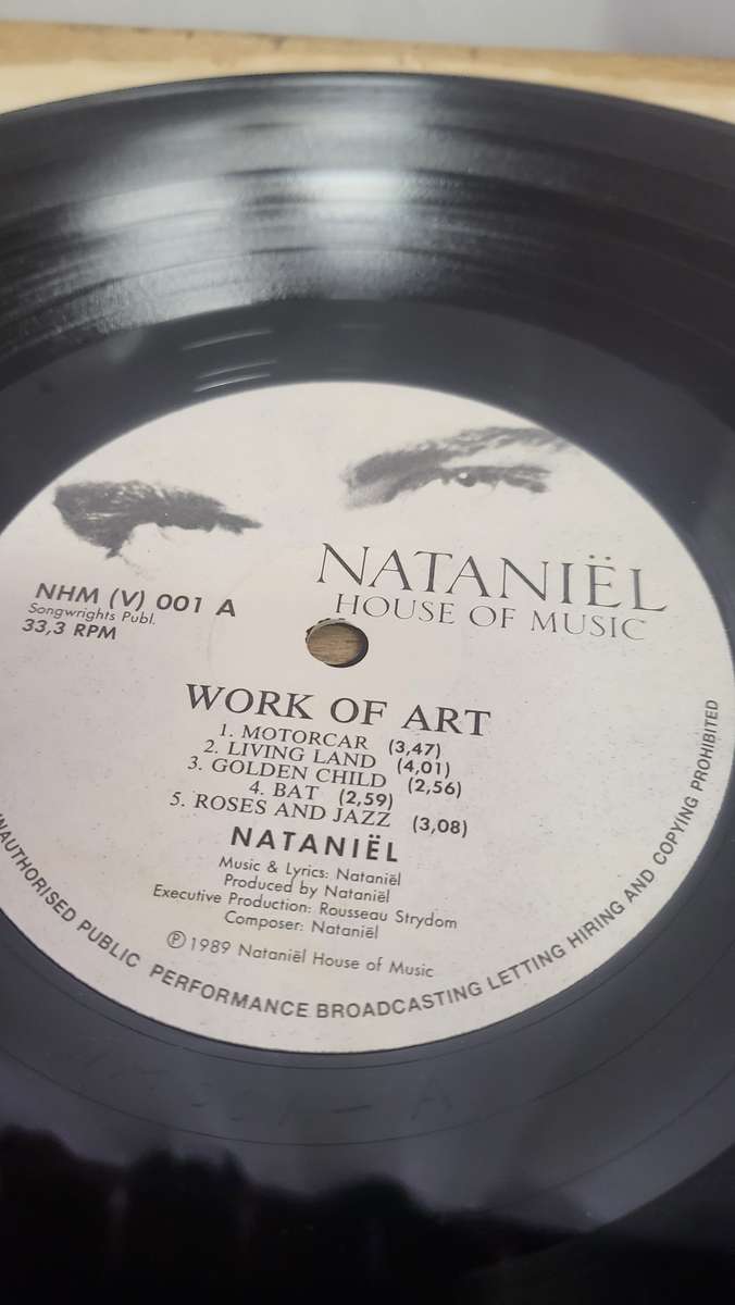 Nataniël- Work of Art LP