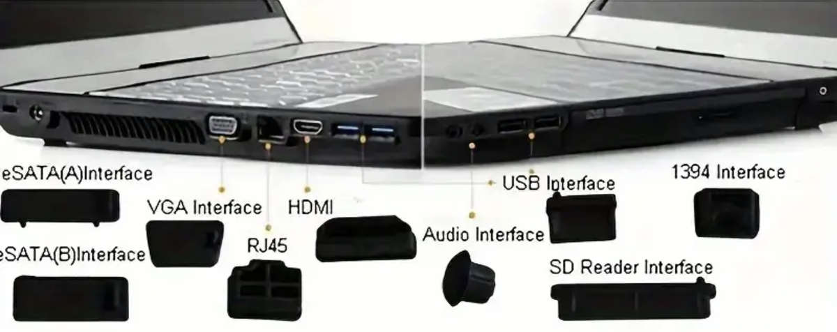 16pcs Universal Anti-Dust Plugs for Laptops / Notebooks (BLACK)