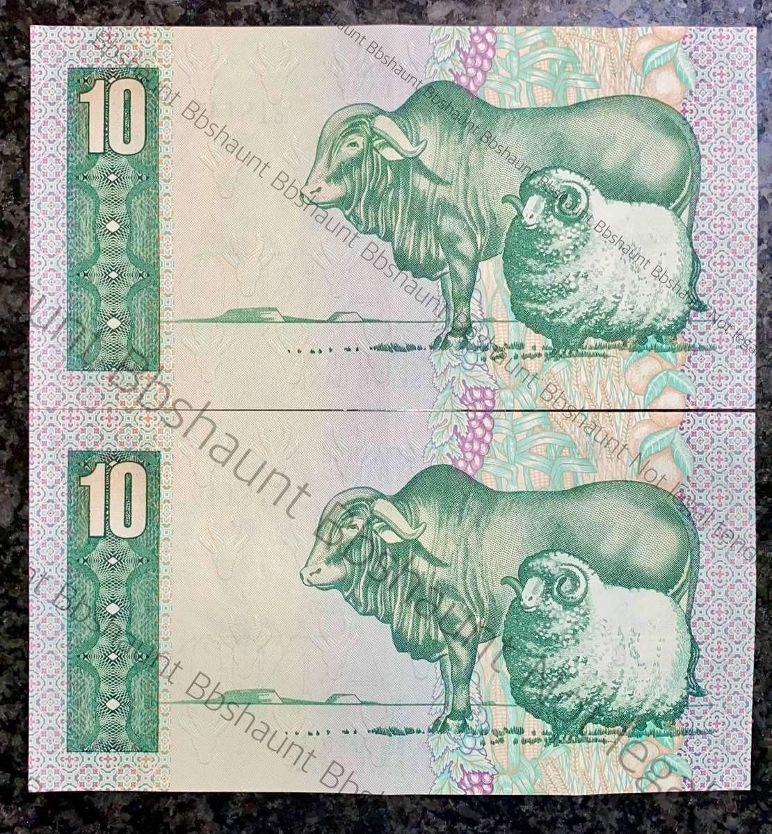 GPC De Kock. R10 in sequence C610 /181491-492 -- 3rd issue 1984 (1 bid takes all )