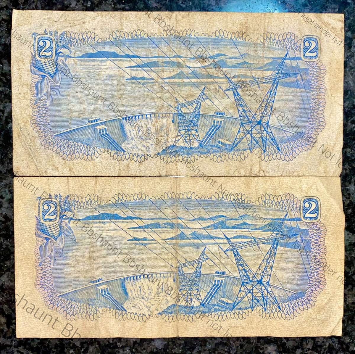 TW DE JONGH R2 - SPRINGBUCK WTM 1974 (1 BID TAKES ALL)