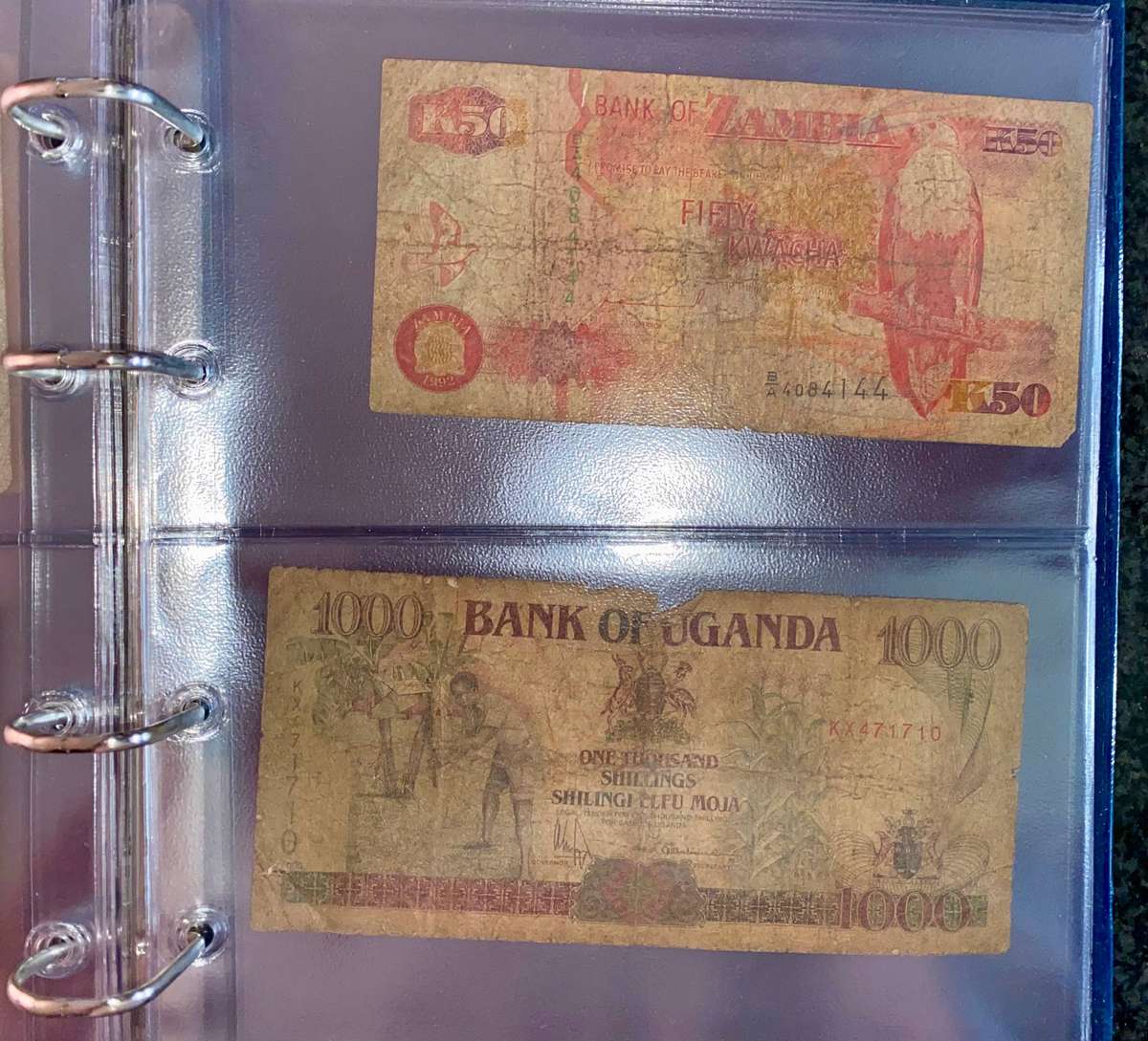 Banknote Album - 10 sleeves all banknotes included