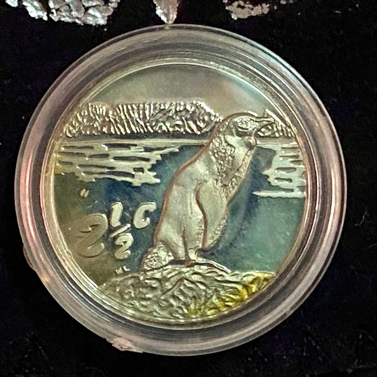 South Africa. Proof Silver 2 1/2 cent 1998 - Jackass Penguin - mintage 2297