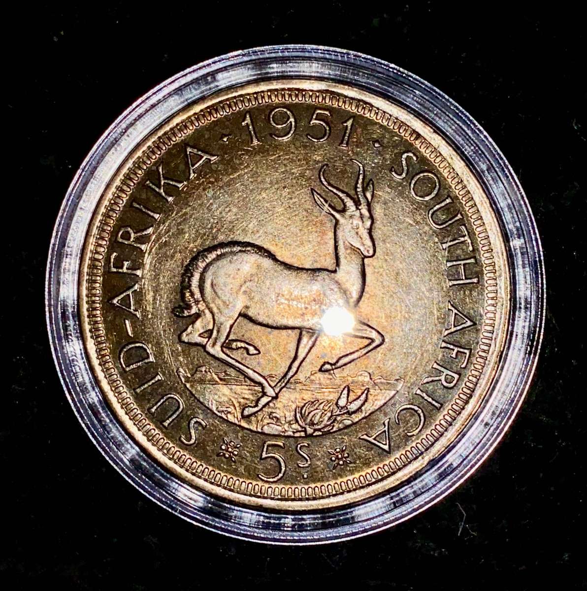 SA Union Silver 5 shilling 1951 lovely gold toning good condition in capsule