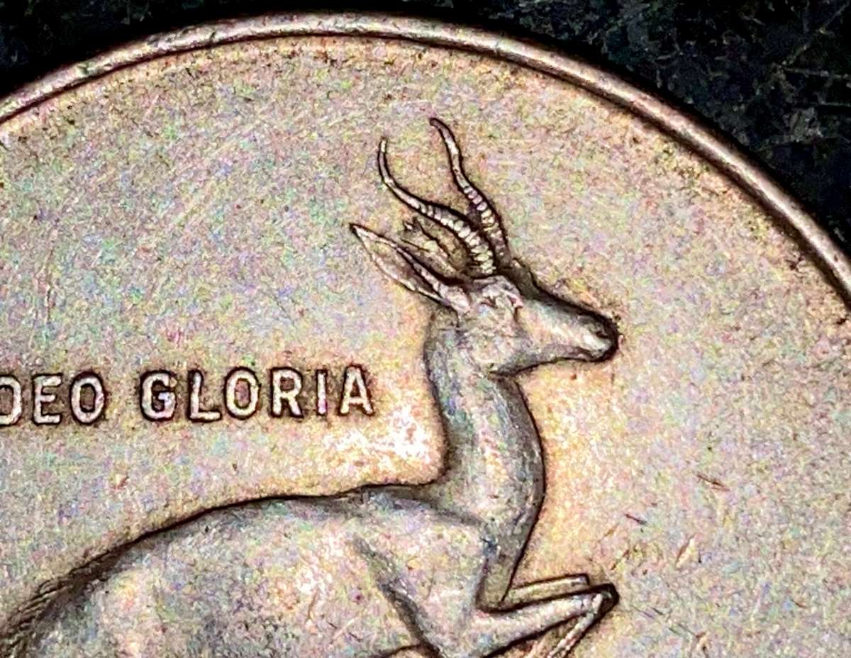 S.Africa -- Taged Ear Silver R1 -- 1966