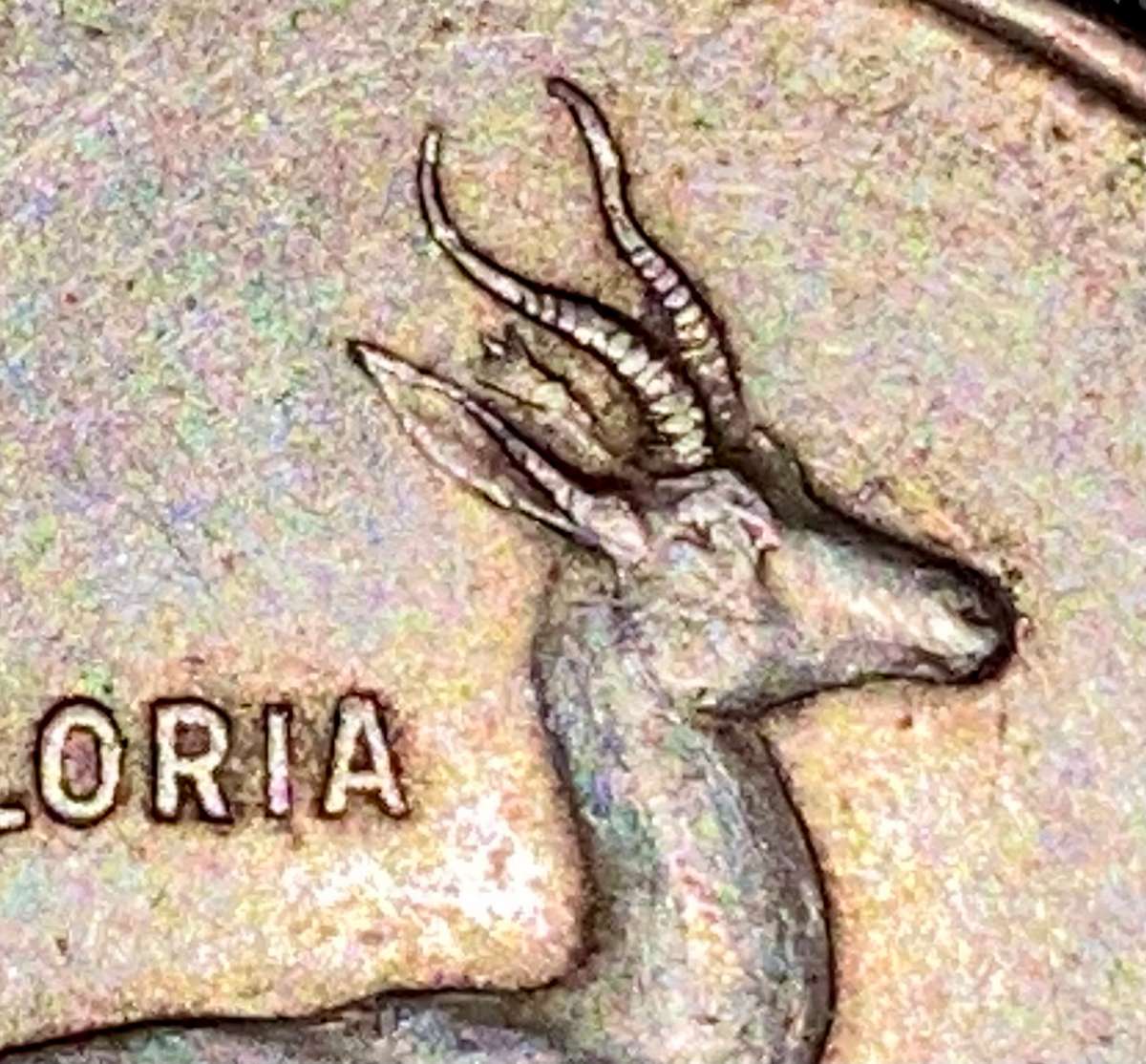 S.Africa -- Taged Ear Silver R1 -- 1966