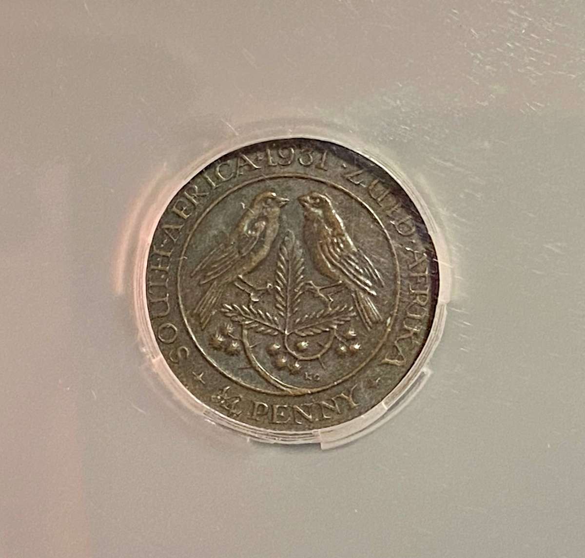 SA Union Graded (Zuid) 1/4 penny 1931 XF40BN SANGS