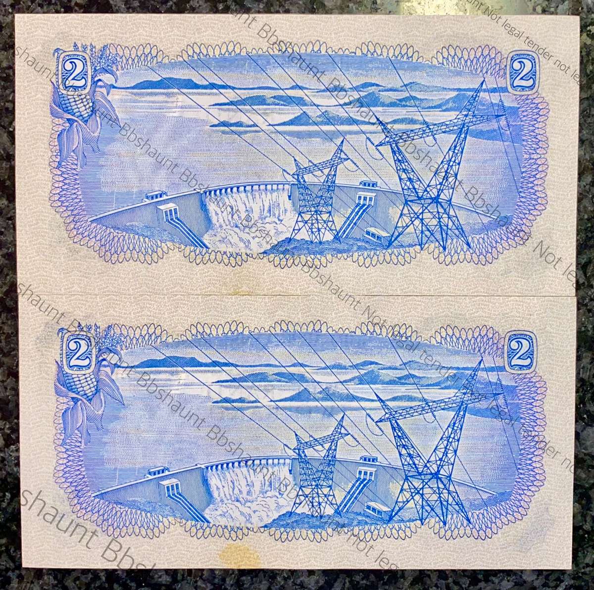 TW DE JONGH R2 IN SEQUENCE D66 /205617-618 UNCAUNC 2ND ISSUE 1974 SPRINGBUCK WTM(1BID TAKES ALL)