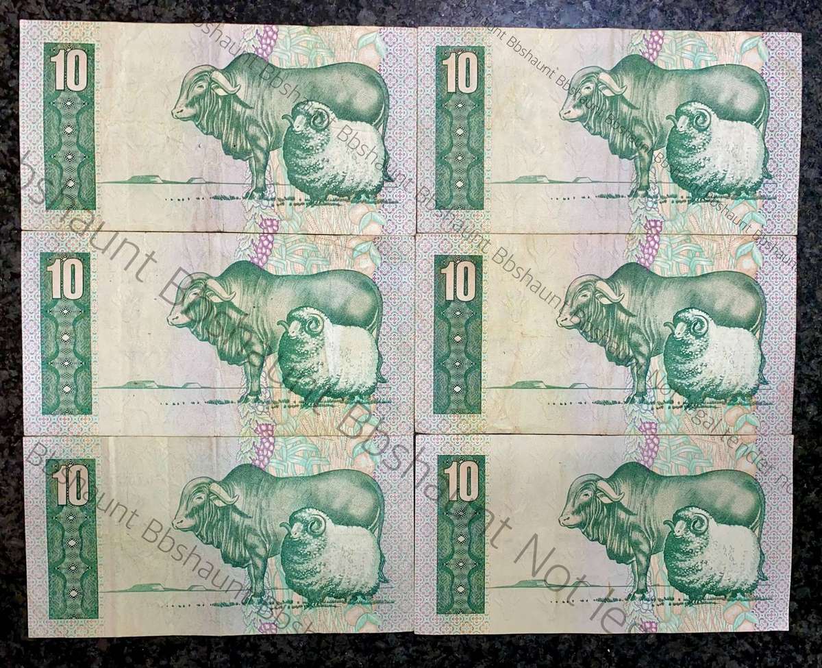 GPC De Kock. R10 --1981/82--(1 bid takes all )