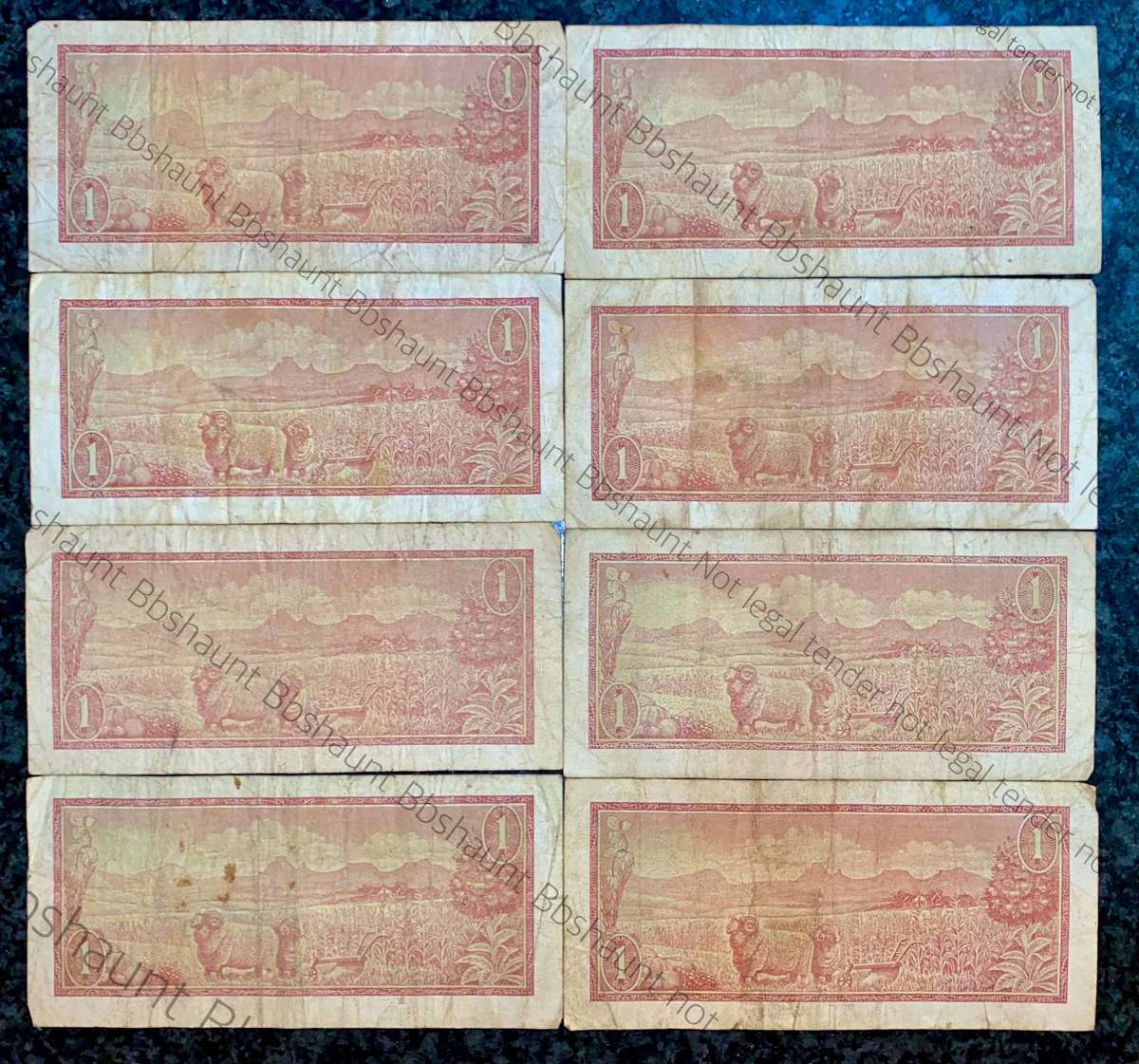 Tw De Jongh. R1 B series 1975 (1 bid takes all)