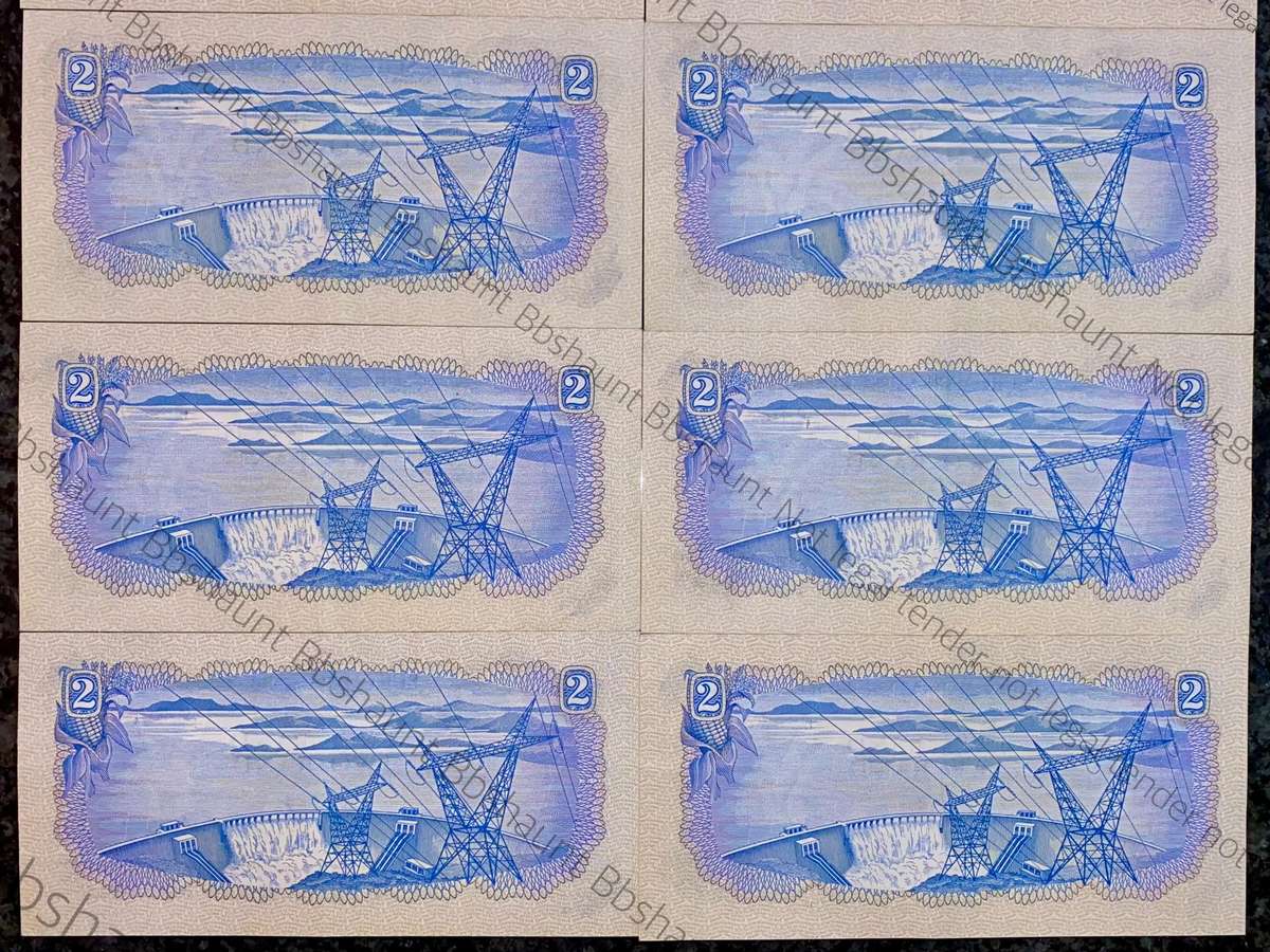 Tw De Jongh. R2 aunc all Springbuck wtm 2nd issue 1974 (bid per note)