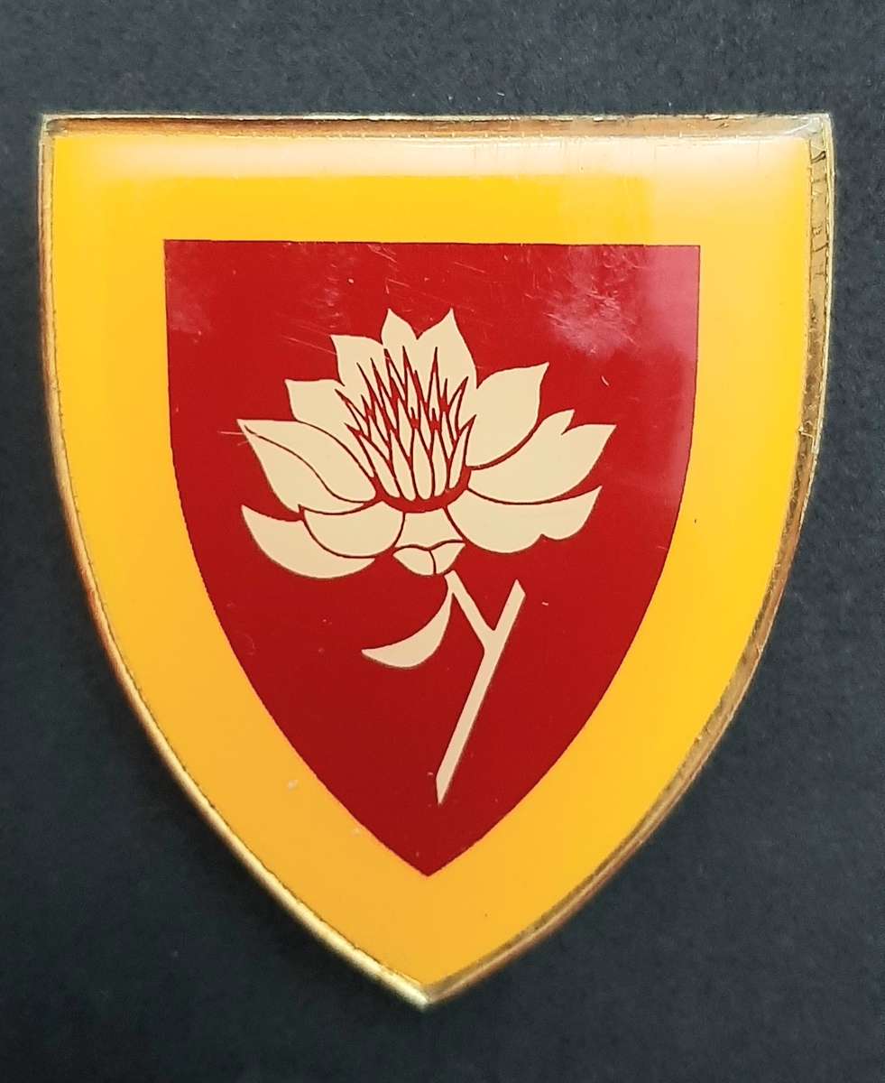 **Border War : 1980s SADF Women's Army College Flashes x2 **