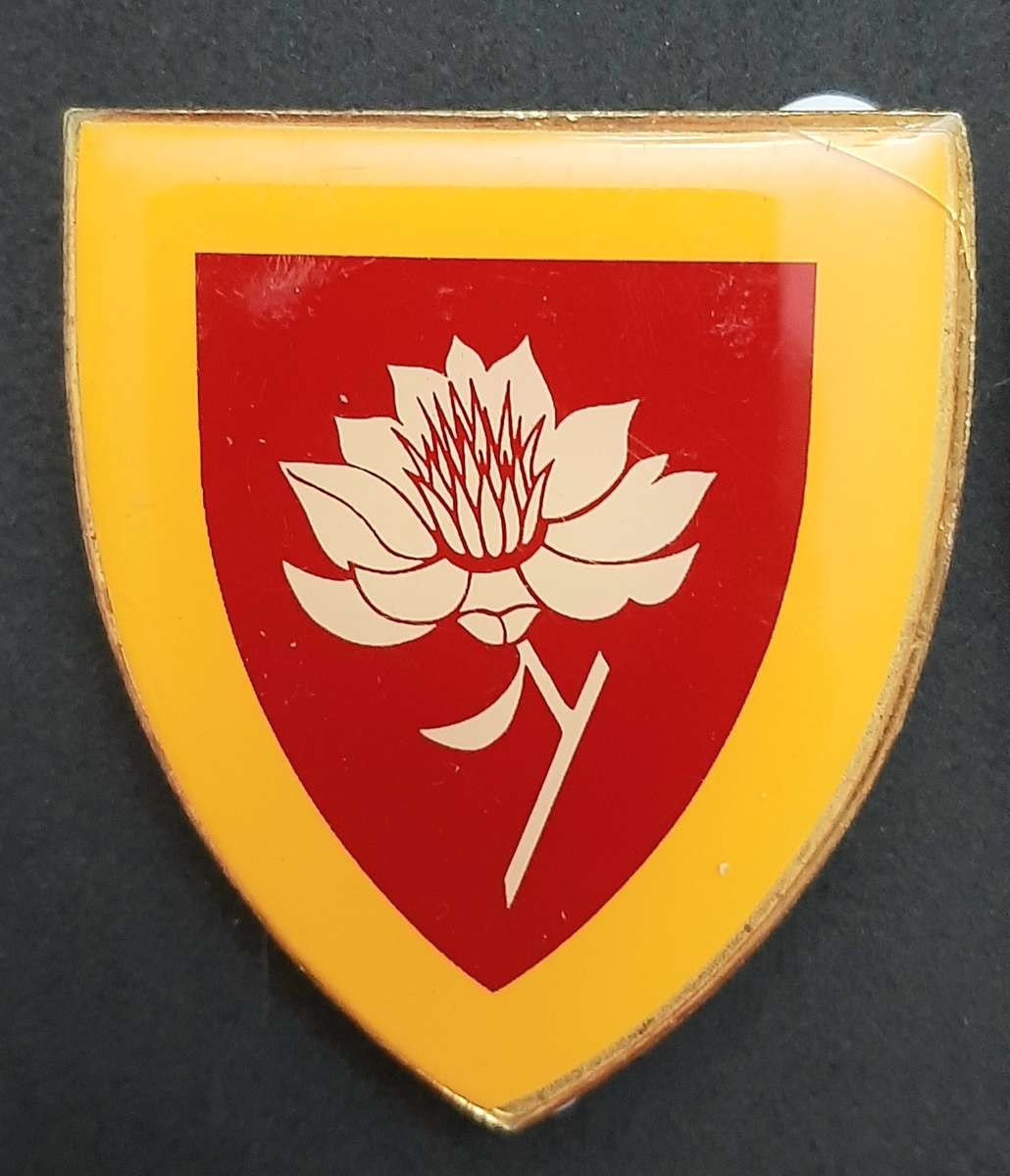 **Border War : 1980s SADF Women's Army College Flashes x2 **