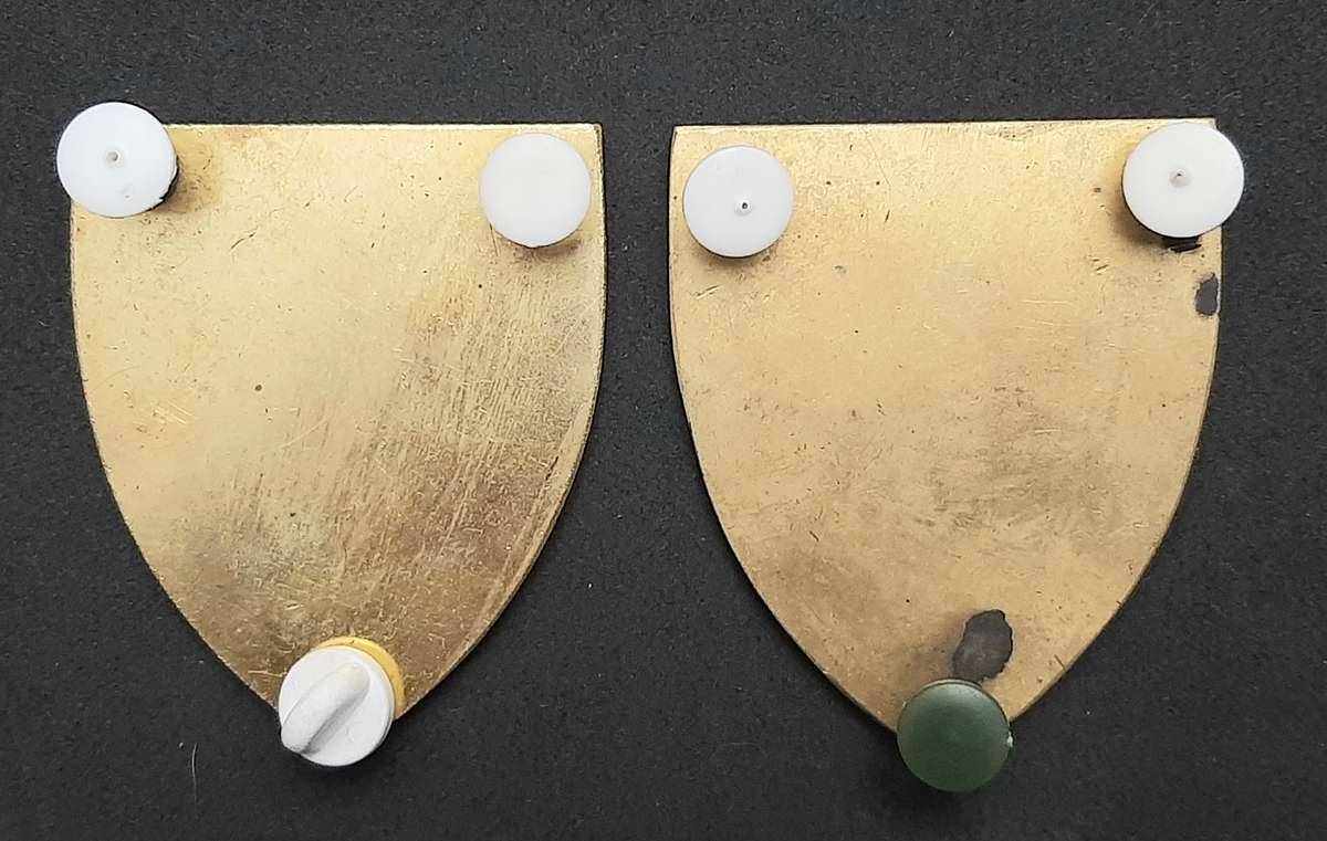 **Border War : 1980s SADF Women's Army College Flashes x2 **