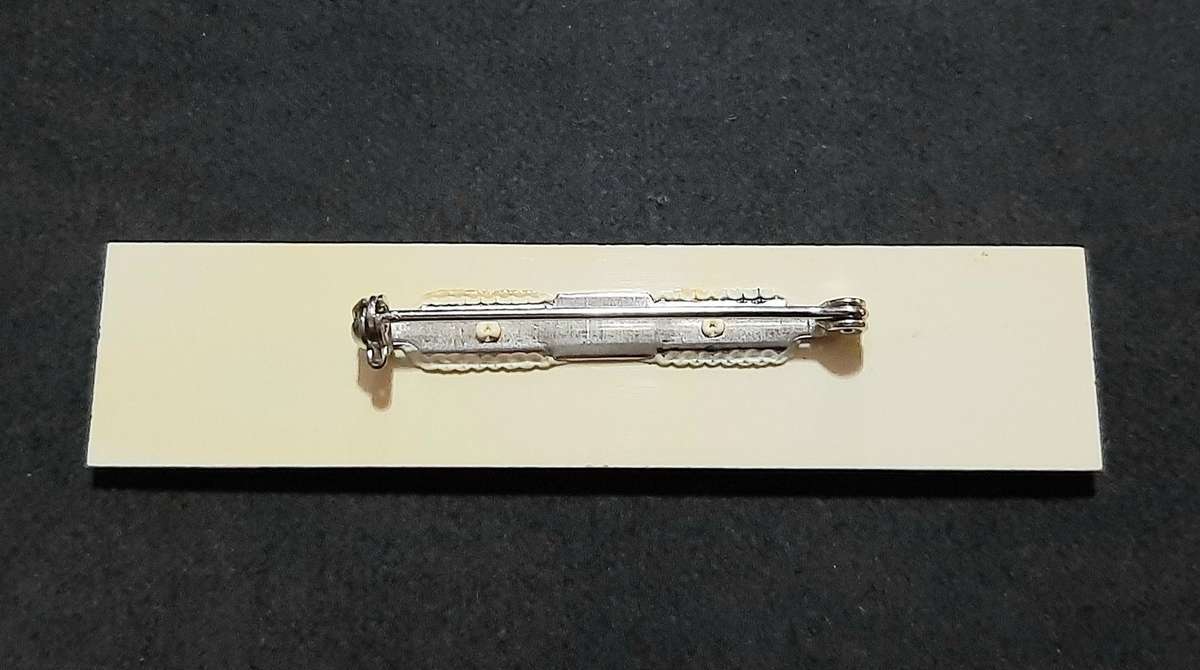 RARE: 1980s Border War- SA Medical Service Lucite Name Badge w/ Pin.