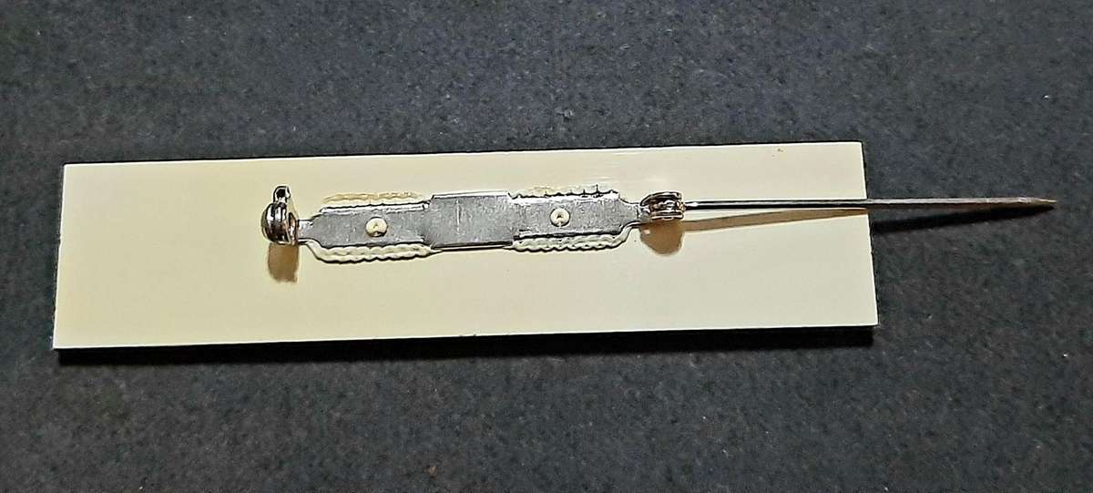 RARE: 1980s Border War- SA Medical Service Lucite Name Badge w/ Pin.
