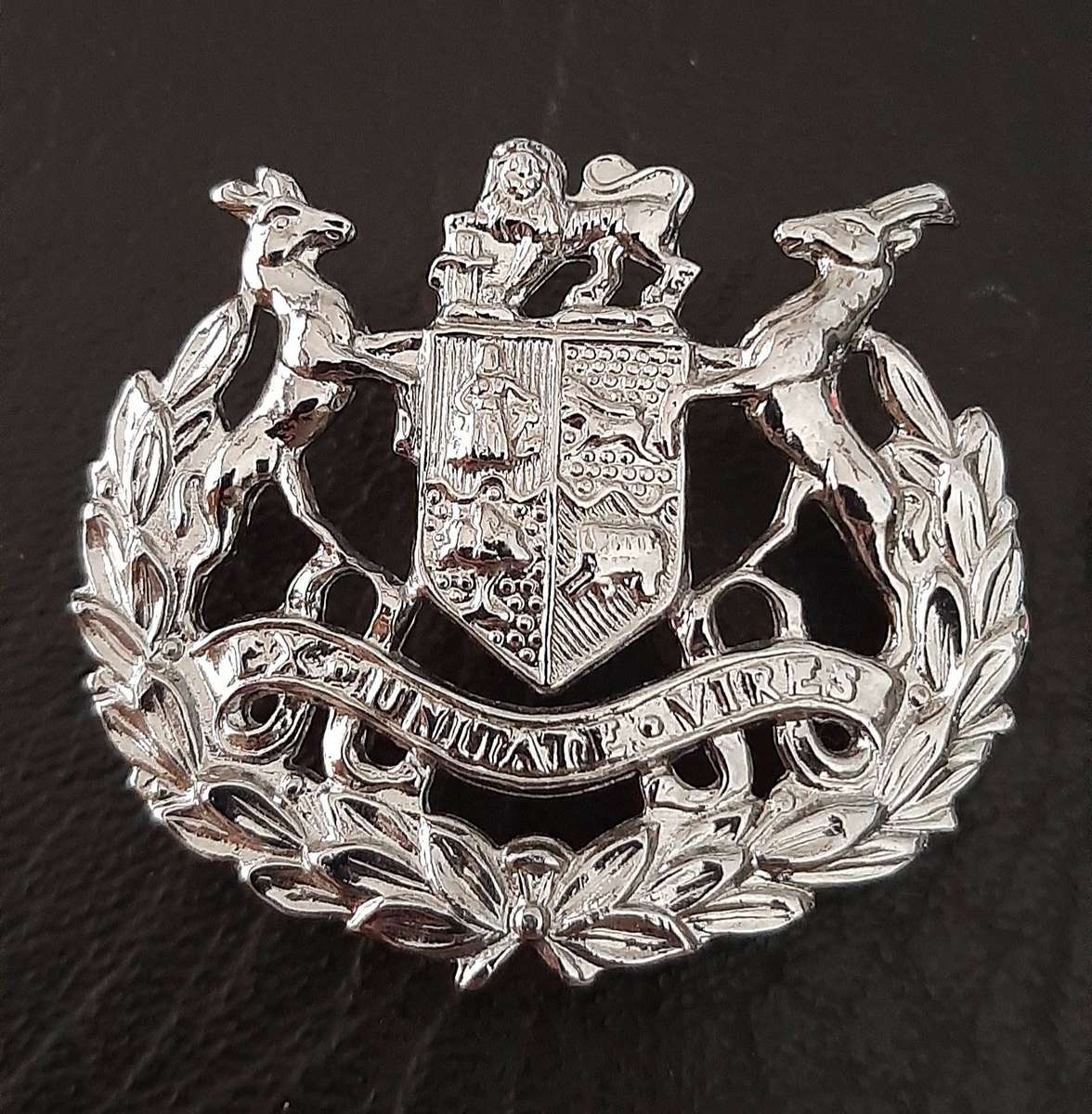 Border War: 1980s SADF- Warrant Officer Class I Metallic Rank Insignia Pair (Pins).