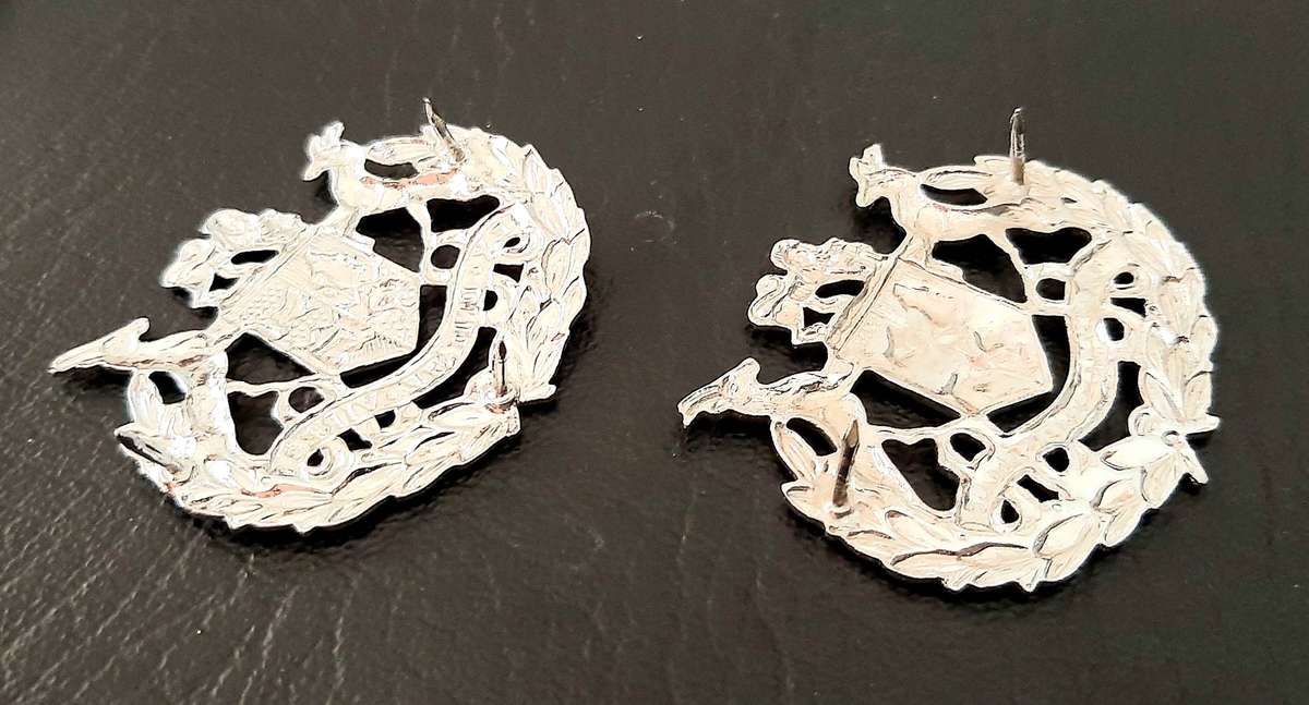 Border War: 1980s SADF- Warrant Officer Class I Metallic Rank Insignia Pair (Pins).