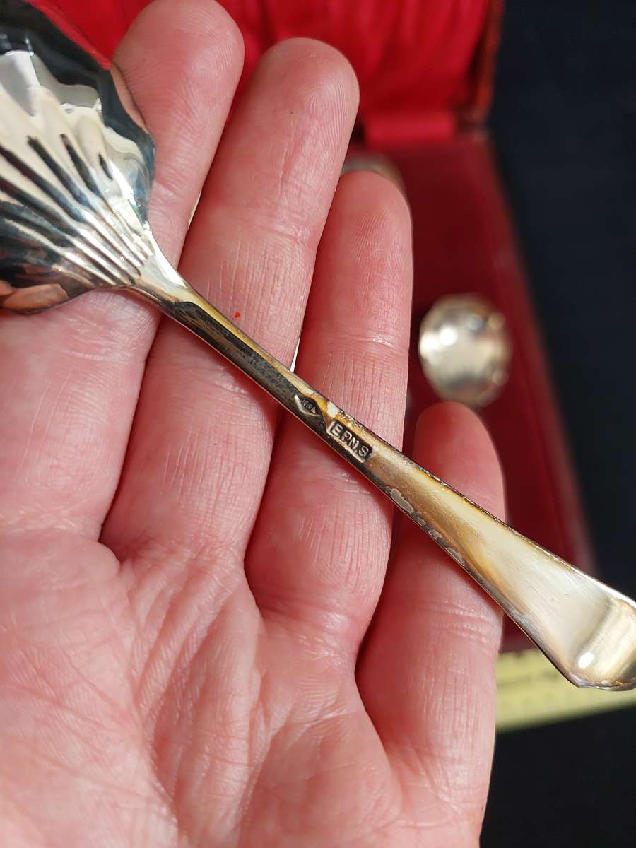 Stunning Antique 7 Piece EPNS Silver Plated Fruit Spoons & Serving Spoons - Good Condition