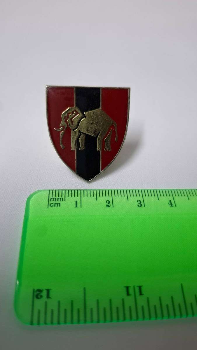 Small SADF EP Command Provost Unit Flash (Both pins intact) - Excellent Condition