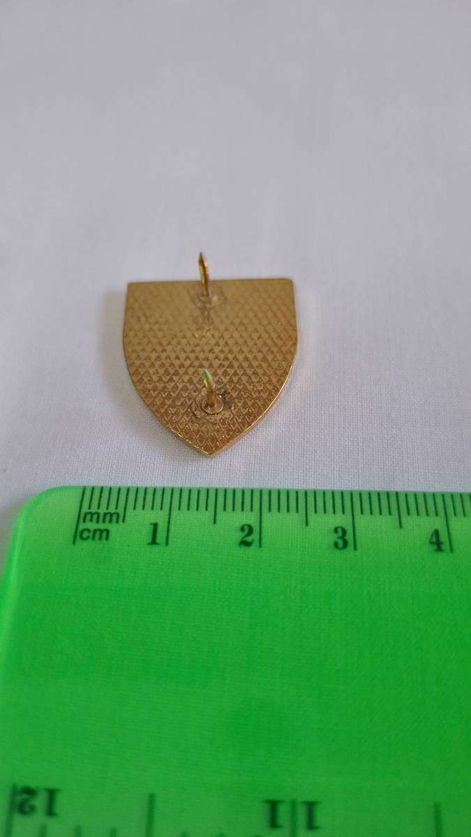 Small SADF Personnel Services School Flash (Both pins intact) - Excellent Condition