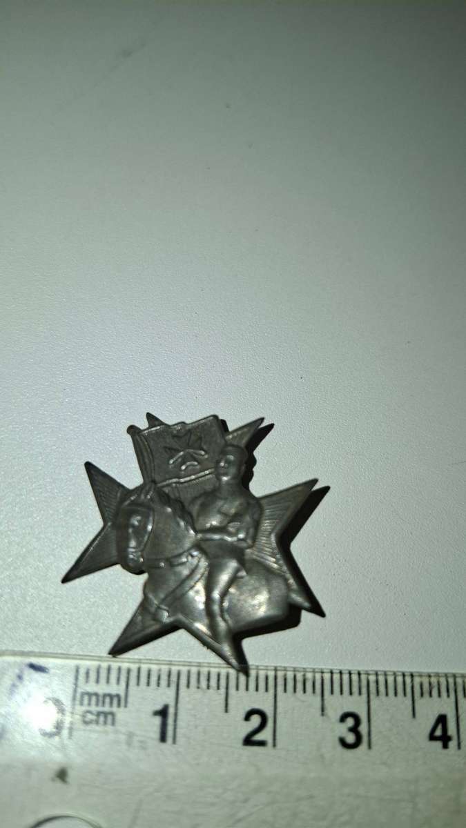 Rare South Africa Ophthalmic Hospital Baragwanath Johannesburg Knight and Horse Badge- Good Conditio