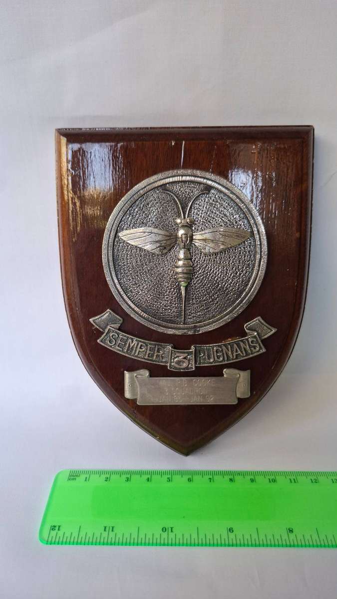 South African Air Force Association Plaque Related to MAJ.  P.B. Cooke , 3 Squadron, 1985- 1992