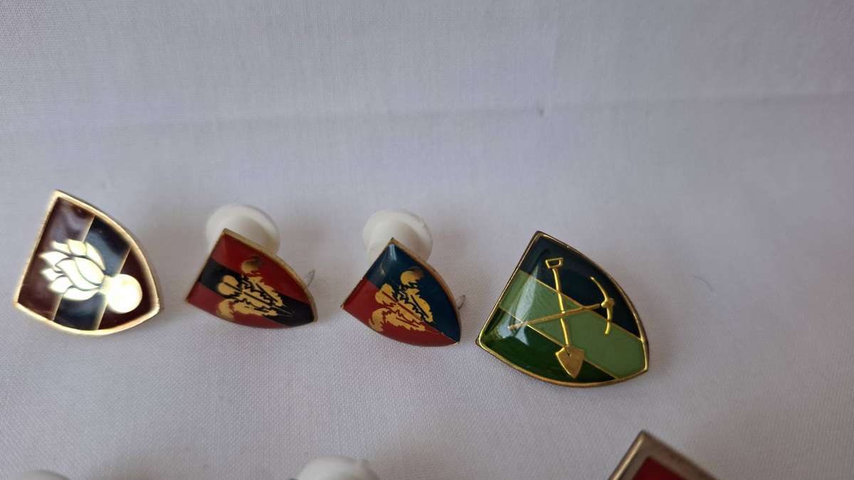 A Collection of 8 Mini SADF Metal Collar Flashes - All pins intact and in good condition