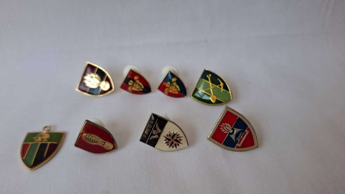 A Collection of 8 Mini SADF Metal Collar Flashes - All pins intact and in good condition