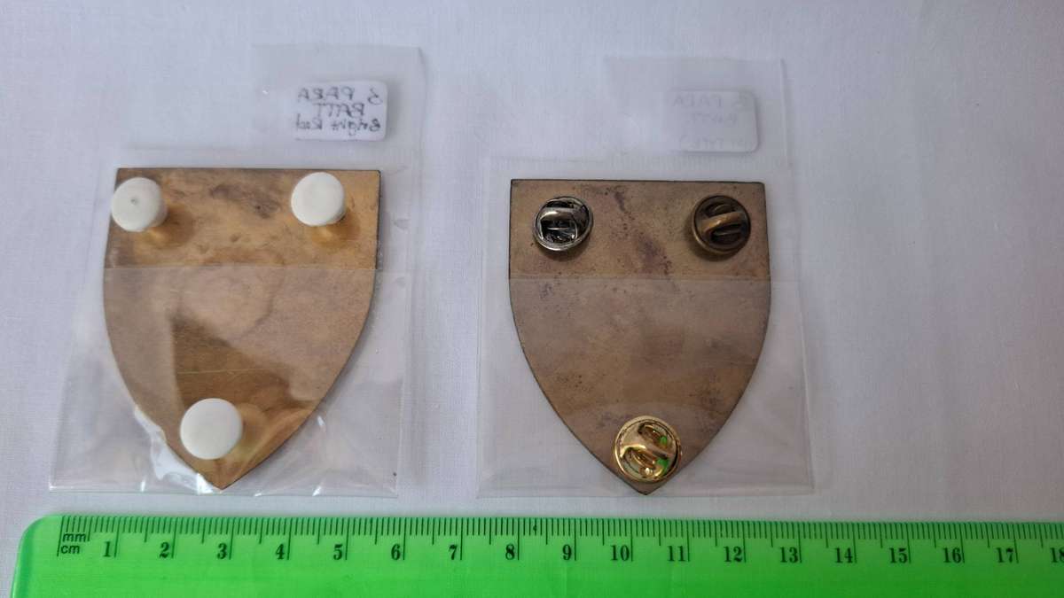 Set of Two SADF 3 Parachute Battalion Metal Shoulder Flash - All pins intact
