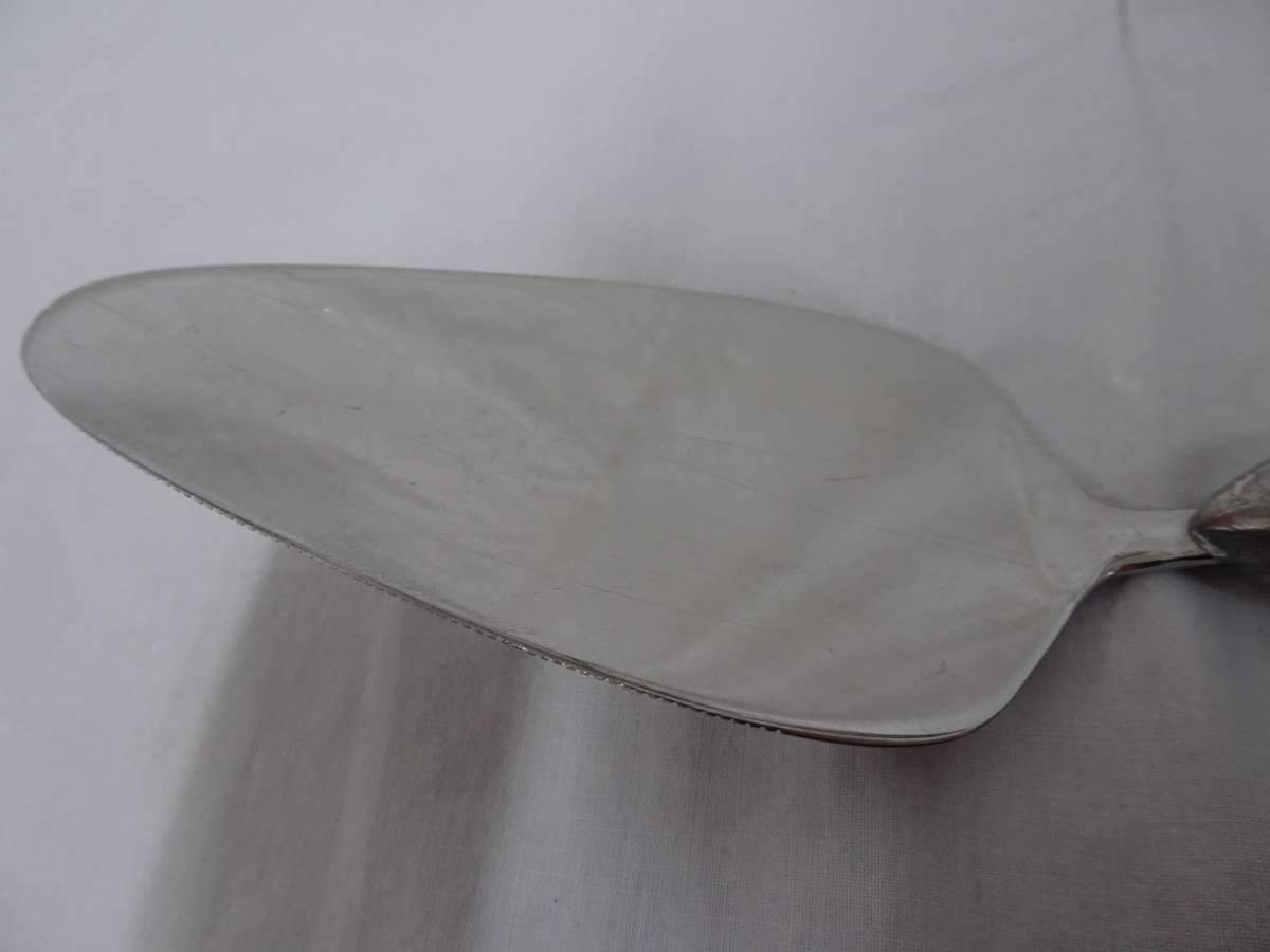 Stunning Carrol Boyes Cake Lifter - 27cm × 6cm - In Excellent Condition - Clearly Marked