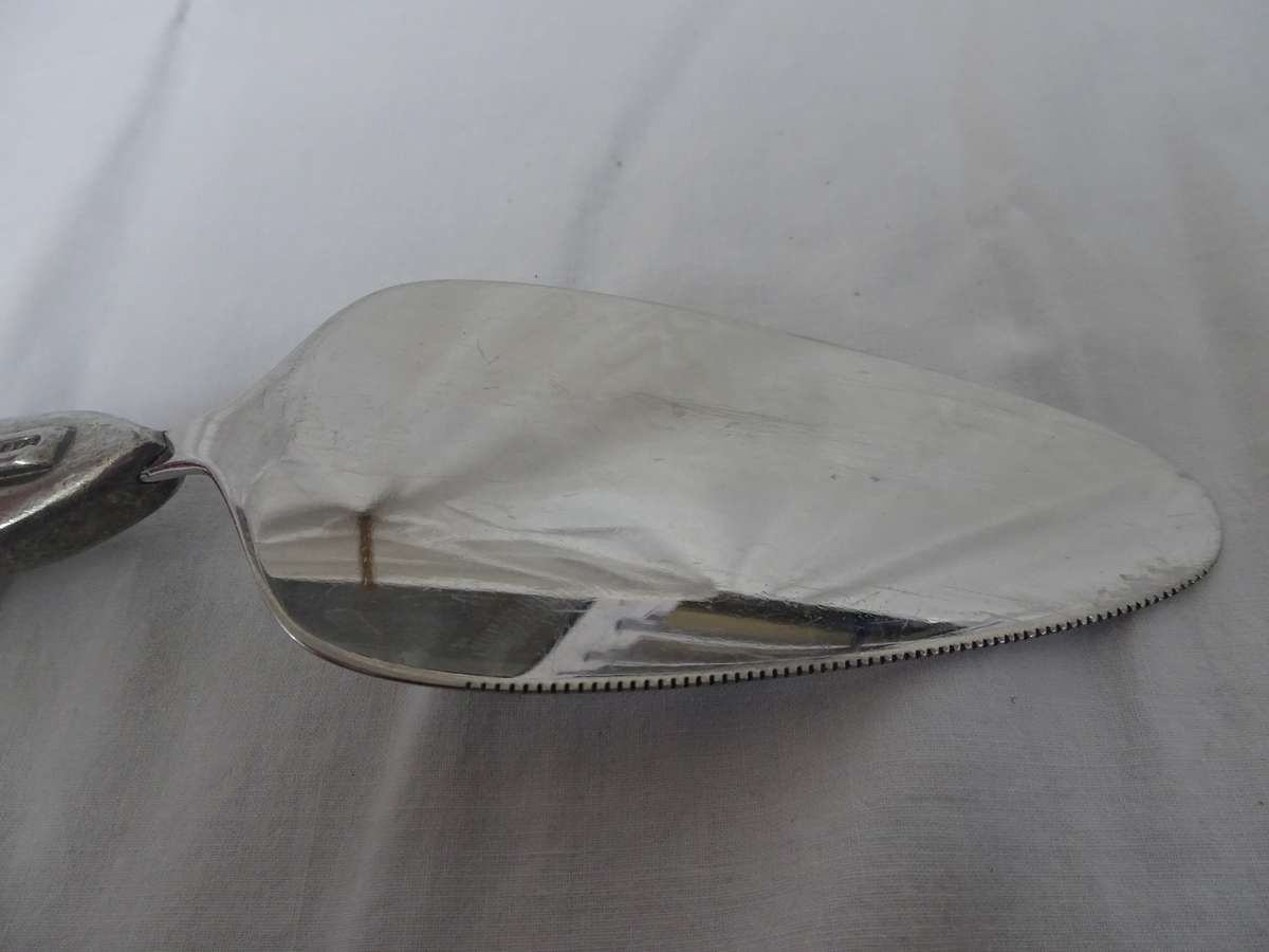Stunning Carrol Boyes Cake Lifter - 27cm × 6cm - In Excellent Condition - Clearly Marked